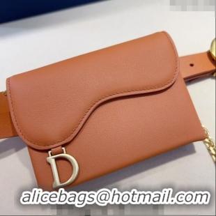 Buy Classic Dior Calfskin Saddle Pouch belt 2cm 0820 Brown 2024