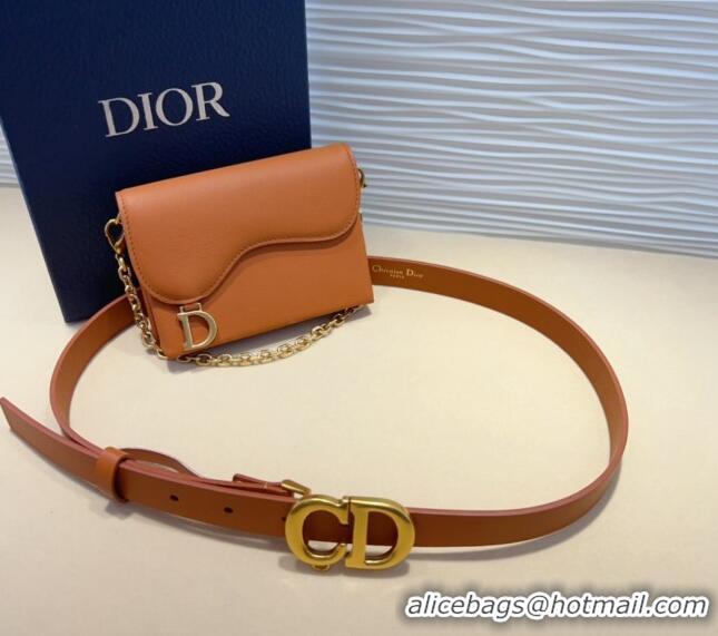 Buy Classic Dior Calfskin Saddle Pouch belt 2cm 0820 Brown 2024