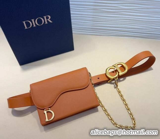 Buy Classic Dior Calfskin Saddle Pouch belt 2cm 0820 Brown 2024