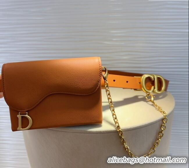 Buy Classic Dior Calfskin Saddle Pouch belt 2cm 0820 Brown 2024