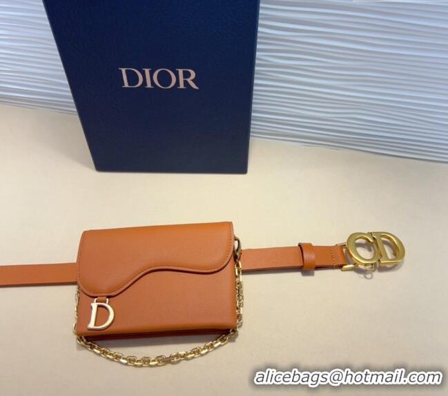 Buy Classic Dior Calfskin Saddle Pouch belt 2cm 0820 Brown 2024