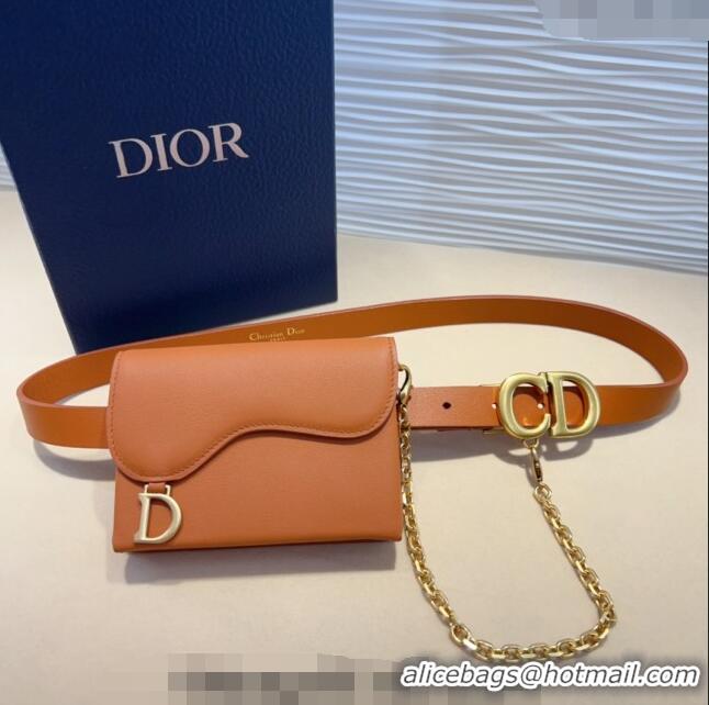 Buy Classic Dior Calfskin Saddle Pouch belt 2cm 0820 Brown 2024