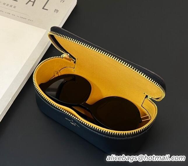 Good  Price Louis Vuitton Sunglasses Pouch in Monogram 0731 Black 2024