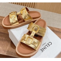 Most Popular Celine Tippi Buckle Flat Slide Sandals in Calfskin Gold 322041