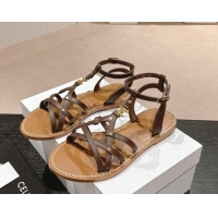 Good Quality Celine Calfskin Strap Flat Sandals Brown 531155