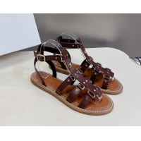 Perfect Celine Lympia Flat Sandals in Calfskin Dark Brown 629049