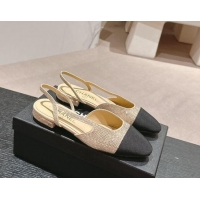 Purchase Chanel Strass & Grosgrain Slingback Flat G31318 Beige 816041