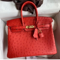 Classic Wholesale Hermes Birkin 25cm Bag in Ostrich Leather H0025 Ferrari Red/Gold 2024