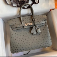 Buy Cheap Hermes Birkin 25cm Bag in Ostrich Leather H0025 Turtledove Grey/Silver 2024 (Full Handmade)