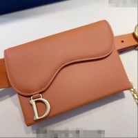 Buy Classic Dior Calfskin Saddle Pouch belt 2cm 0820 Brown 2024