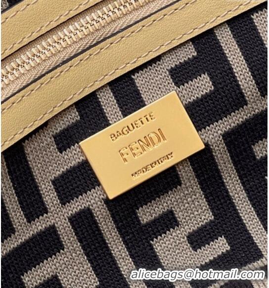 Reasonable Price Fendi Medium Baguette bag in Raffia FF Straw 8273B Black 2024