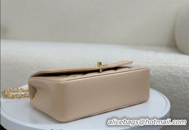 Top Quality Chanel Vintage Lambskin Flap bag AS2221 Beige 2024