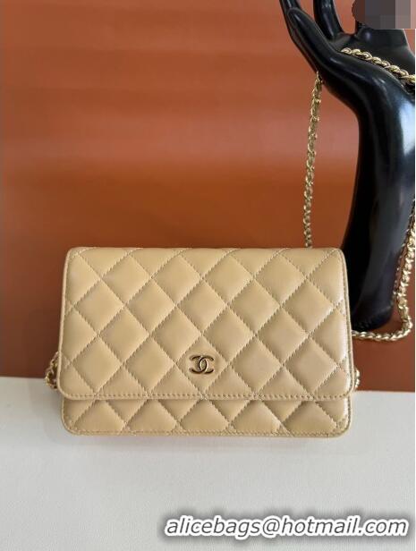 Top Quality Chanel Lambskin Classic Wallet on Chain WOC CH9092 Beige 2024