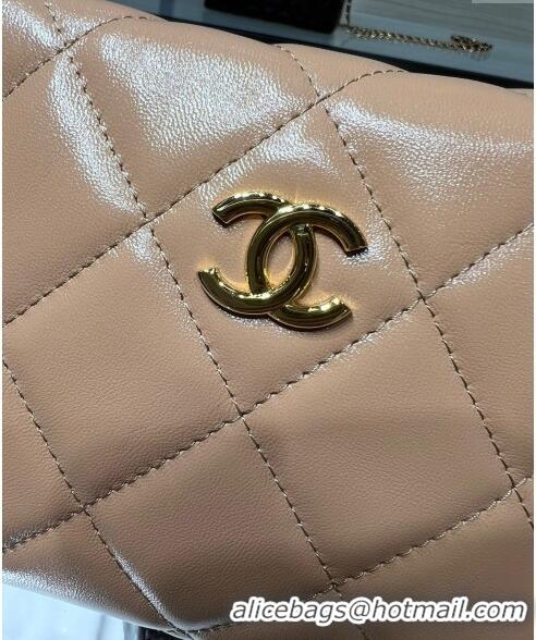 Popular Style Chanel Lambskin Clutch with Chain and Top Handle AP4189 Dark Beige 2024