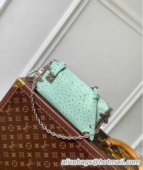 Buy Cheap Louis Vuitton Slim Trunk Hobo bag in Ostrich Embossed Leather M25445 Water Green 2024