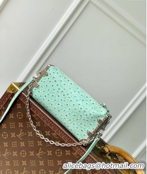 Buy Cheap Louis Vuitton Slim Trunk Hobo bag in Ostrich Embossed Leather M25445 Water Green 2024