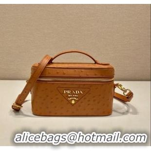 Pretty Style Prada Mini Bag in Ostrich Embossed Leather 1BH202 Brown 2024