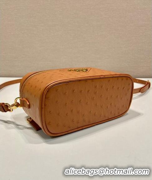 Pretty Style Prada Mini Bag in Ostrich Embossed Leather 1BH202 Brown 2024