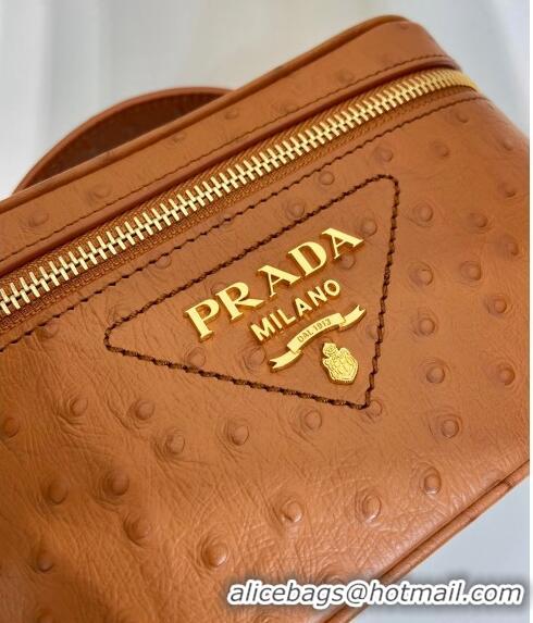 Pretty Style Prada Mini Bag in Ostrich Embossed Leather 1BH202 Brown 2024