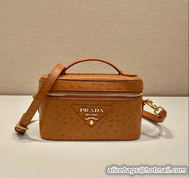 Pretty Style Prada Mini Bag in Ostrich Embossed Leather 1BH202 Brown 2024