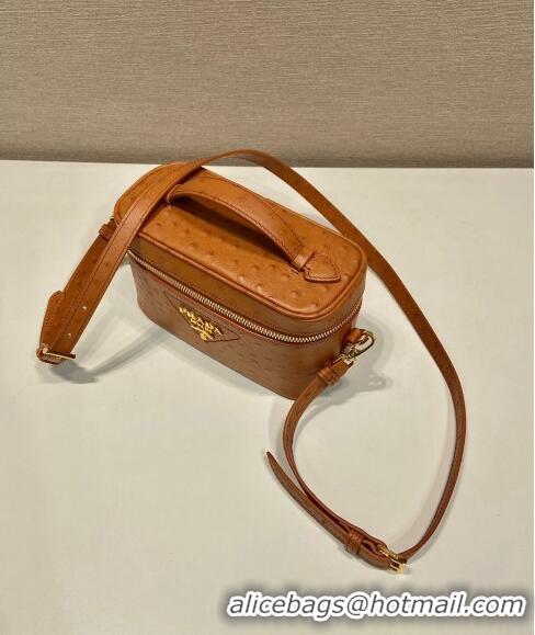 Pretty Style Prada Mini Bag in Ostrich Embossed Leather 1BH202 Brown 2024