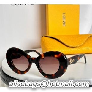 Traditional Specials Loewe Sunglasses LW40112 Brown 2024