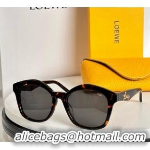 New Release Creation Loewe Sunglasses LW40079 Brown/Grey 2024