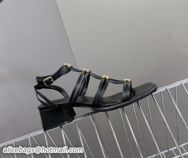 Good Product Celine Clemence Multi Triomphe Heel Sandals 4cm in Calfskin Leather Black 813034