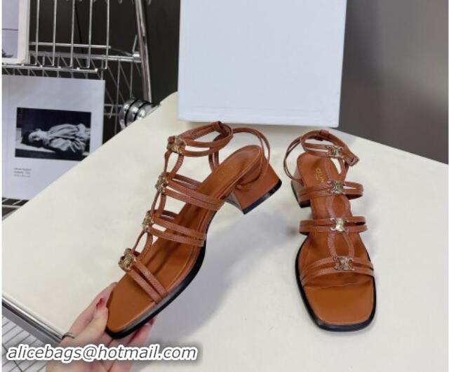 Trendy Design Celine Clemence Multi Triomphe Heel Sandals 4cm in Calfskin Brown 813035