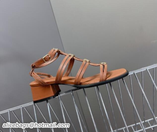 Trendy Design Celine Clemence Multi Triomphe Heel Sandals 4cm in Calfskin Brown 813035