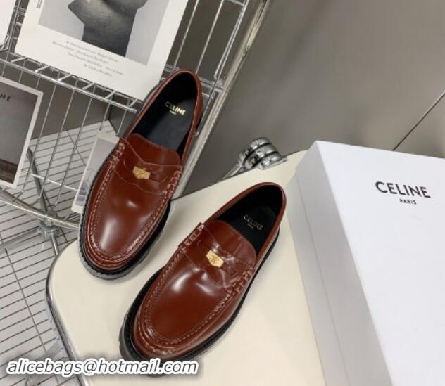 Low Cost Celine Loafers 3.5cm with Triomphe metal in Polished Calfskin Brown 903058