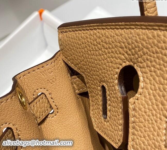 Well Crafted Hermes Mini Birkin 20cm bag with Shoulder Strap in Togo Leather H20 Milky Tea Beige 2024