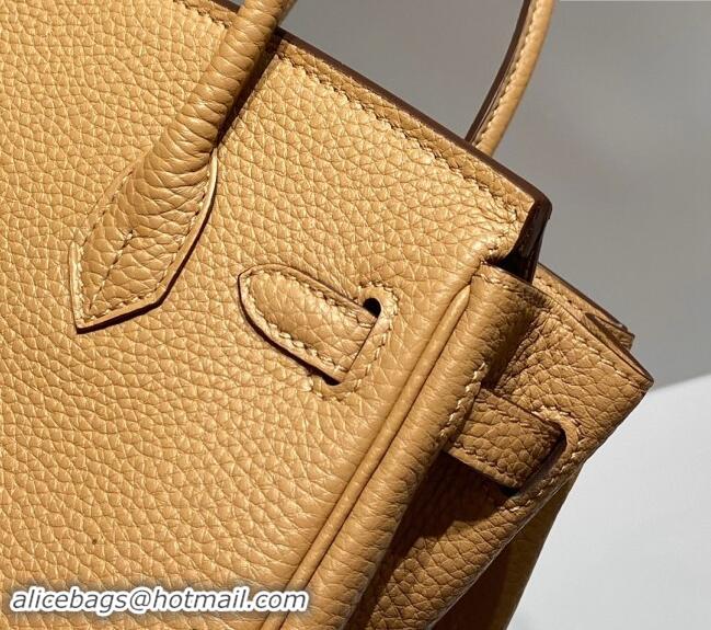 Well Crafted Hermes Mini Birkin 20cm bag with Shoulder Strap in Togo Leather H20 Milky Tea Beige 2024