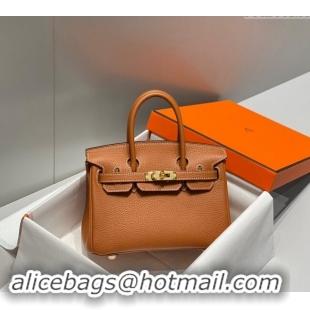 High Quality Hermes Mini Birkin 20cm bag with Shoulder Strap in Togo Leather H20 Brown 2024