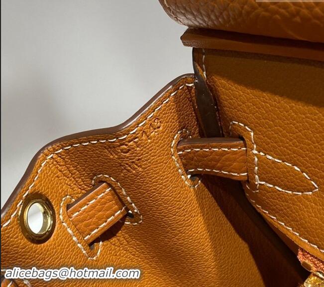 High Quality Hermes Mini Birkin 20cm bag with Shoulder Strap in Togo Leather H20 Brown 2024