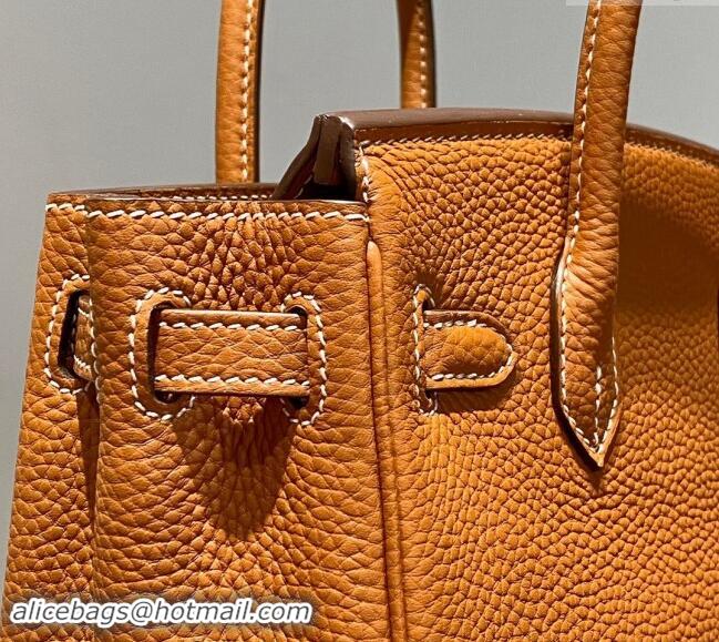 High Quality Hermes Mini Birkin 20cm bag with Shoulder Strap in Togo Leather H20 Brown 2024