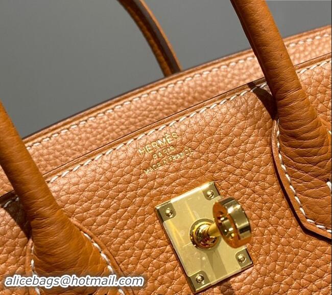 High Quality Hermes Mini Birkin 20cm bag with Shoulder Strap in Togo Leather H20 Brown 2024