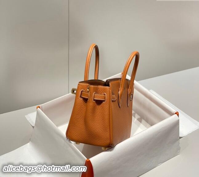 High Quality Hermes Mini Birkin 20cm bag with Shoulder Strap in Togo Leather H20 Brown 2024