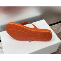 Top Design Dior Diorsea Flat Thong Sandal in Calfskin Orange 724060