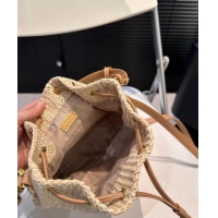 Lower Price Prada Raffia Straw Bucket Bag 0402 Beige 2024