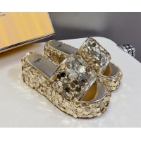 Best Price Fendi Sequins Wedge Slides Sandal 6cm Gold 813112