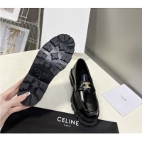 Best Product Celine Shiny Calfskin Platform Loafers 3.5cm with Triomphe Logo Black 903051