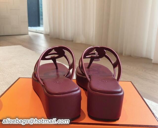 Buy Discount Hermes Egerie Wedge Thong Slide Sandals in Nappa Calfskin Dark Burgundy 907068