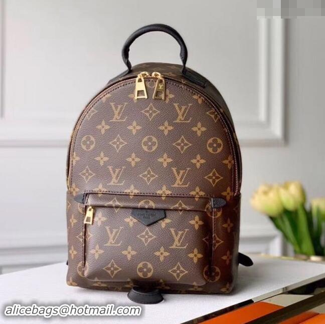 New Style Louis Vuitton Palm Springs PM Monogram Canvas Backpack bag M44871 2024