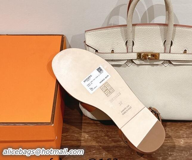 Trendy Design Hermes Santorini Flat Sandals in Smooth Calfskin Brown 909019