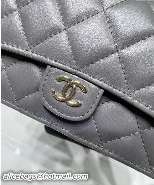 Modern Classic Chanel Lambskin Leather Flap Phone Holder with Chain AP3226 Grey 2024