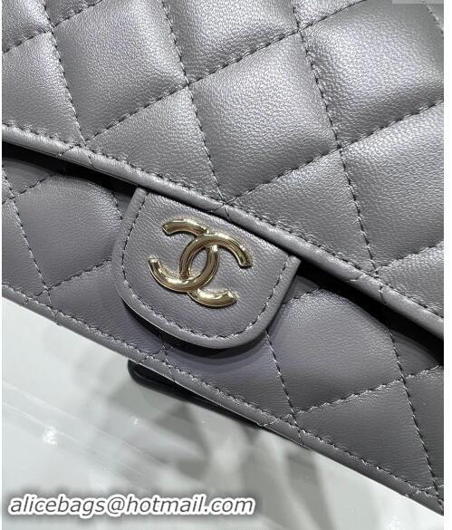 Modern Classic Chanel Lambskin Leather Flap Phone Holder with Chain AP3226 Grey 2024