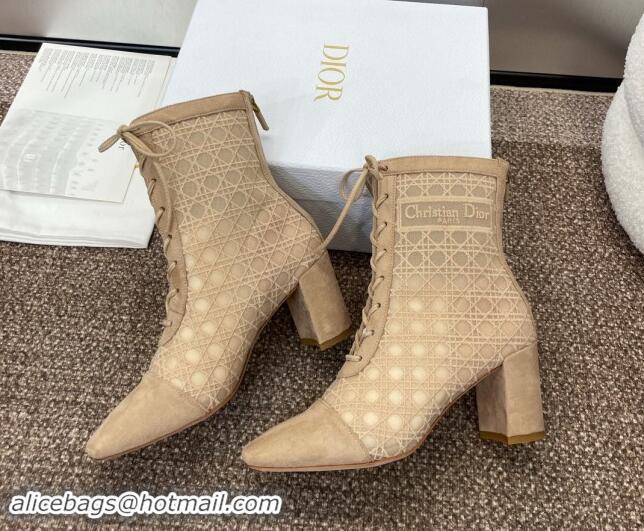 Good Looking Dior Naughtily-D Heeled Ankle Boot in Mesh Embroidered with Nude Cannage Motif and Suede 6.5cm Heel 092910