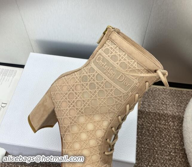 Good Looking Dior Naughtily-D Heeled Ankle Boot in Mesh Embroidered with Nude Cannage Motif and Suede 6.5cm Heel 092910