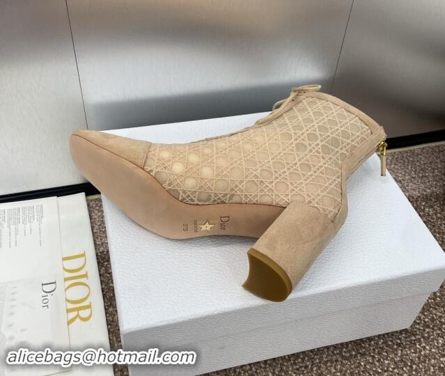 Good Looking Dior Naughtily-D Heeled Ankle Boot in Mesh Embroidered with Nude Cannage Motif and Suede 6.5cm Heel 092910